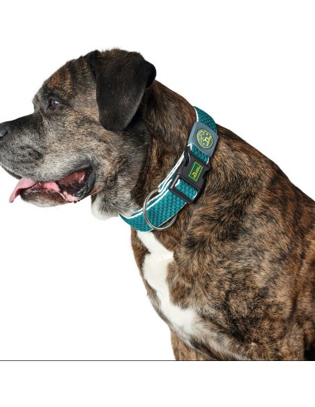 Dog collar Hunter Plus Thread Turquoise 11 | Tienda24 Tienda24.eu