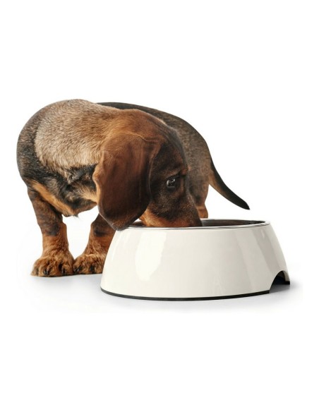 Dog Feeder Hunter Melamin Stainless steel White 160 ml (14,5 x 14,5 x 7 cm) | Tienda24 Tienda24.eu