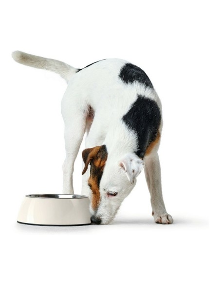 Dog Feeder Hunter Melamin Stainless steel White 160 ml (14,5 x 14,5 x 7 cm) | Tienda24 Tienda24.eu