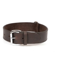 Dog collar Hunter Aalborg Black S/M 37-43 cm | Tienda24 Tienda24.eu