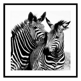 Cuadro Zebra Cristal (2 x 50 x 50 cm) de Versa, Frontones decorativos - Ref: S3404451, Precio: 19,30 €, Descuento: %