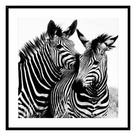 Quadro Zebra Vetro (2 x 50 x 50 cm) di Versa, Frontoni - Rif: S3404451, Prezzo: 19,30 €, Sconto: %