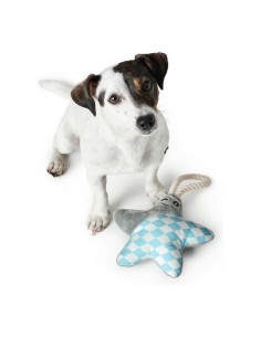 Jouet pour chien Nylabone Dura Chew Fromage Viande Naturel 20 | Tienda24 Tienda24.eu