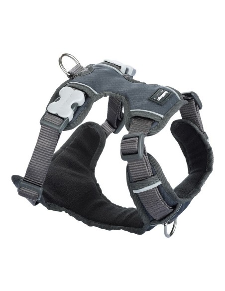 Dog Harness Red Dingo Padded Grey XS size | Tienda24 Tienda24.eu