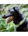 Hundehalsband Hunter Vario Plus Fäden L Neongrün (40-60 cm) | Tienda24 Tienda24.eu