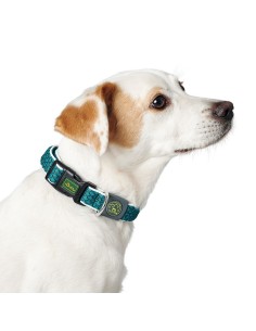 Dog collar Red Dingo Style Turquoise Stars (2,5 x 41-63 cm) | Tienda24 Tienda24.eu