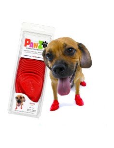 Botas Pawz Cão 12 Unidades Roxo Tamanho L | Tienda24 Tienda24.eu