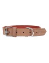 Hundehalsband Gloria Oasis Braun 70 cm (70 x 3 cm) | Tienda24 Tienda24.eu