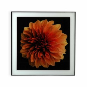 Painting Versa Flower Crystal polystyrene (2 x 60 x 40 cm) by Versa, Wall Pediments - Ref: S3407693, Price: 15,42 €, Discount: %