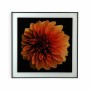 Bild Versa Blume Kristall polystyrol (2 x 60 x 40 cm) von Versa, Wandverzierung - Ref: S3407693, Preis: 15,42 €, Rabatt: %