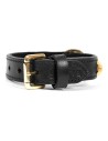 Hundehalsband Gloria Duna Schwarz Gold 35 cm (35 x 2 cm) | Tienda24 Tienda24.eu