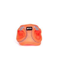 Dog Harness Hunter Hilo-Comfort Orange S (42-48 cm) | Tienda24 Tienda24.eu