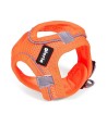 Arnés para Perro Gloria Air Mesh Trek Star Ajustable Naranja L (33,4-35 cm) | Tienda24 Tienda24.eu