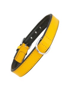 Collare per Cani Gloria Trapunta Giallo (30 x 1,5 cm) da Gloria, Collari - Ref: S6102417, Precio: €9.38, Descuento: %