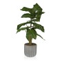 Plante décorative Versa 15 x 53 x 15 cm Ciment Plastique de Versa, Plantes artificielles - Réf : S3410676, Prix : 27,25 €, Re...