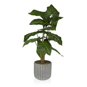 Pianta Decorativa Versa 15 x 53 x 15 cm Cemento Plastica di Versa, Piante artificiali - Rif: S3410676, Prezzo: 27,25 €, Scont...