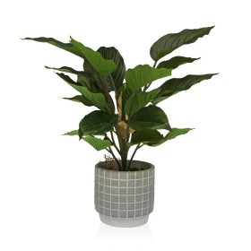 Pianta Decorativa Versa Cemento Plastica 15 x 47 x 15 cm di Versa, Piante artificiali - Rif: S3410680, Prezzo: 24,21 €, Scont...