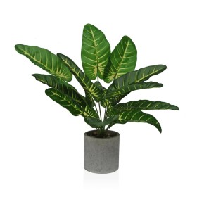 Plante décorative Versa 15 x 43 x 15 cm Papier Plastique de Versa, Plantes artificielles - Réf : S3410682, Prix : 15,44 €, Re...