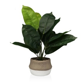 Planta Decorativa Versa 15 x 43 x 15 cm Cemento Plástico de Versa, Plantas - Ref: S3410683, Precio: 19,31 €, Descuento: %