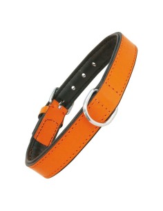 Collare per Cani Gloria Trapunta Arancio (35 x 1,5 cm) da Gloria, Collari - Ref: S6102419, Precio: 9,38 €, Descuento: %