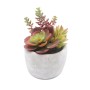 Planta Decorativa Versa Cerámica Plástico 12,7 x 15,24 x 12,7 cm de Versa, Plantas - Ref: S3411005, Precio: 12,03 €, Descuent...