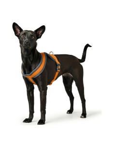 Arnés para Perro Hunter 38-52 cm Marrón Negro XS/S | Tienda24 Tienda24.eu