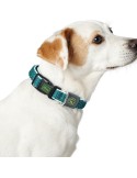 Dog collar Hunter Basic Thread Size M Lime (33-50 cm) | Tienda24 Tienda24.eu