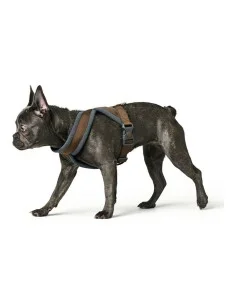 Arnês para Cães Red Dingo Diamond 25-39 cm Preto | Tienda24 Tienda24.eu