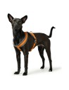 Hundegeschirr Hunter London Comfort Orange S/M 52-62 cm | Tienda24 Tienda24.eu