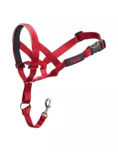 Collier d'entraînement pour chiens Company of Animals Halti Noir Muselière (31-40 cm) | Tienda24 Tienda24.eu