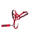 Collier d'entraînement pour chiens Company of Animals Halti Muselière (35-48 cm) | Tienda24 Tienda24.eu