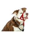 Collier d'entraînement pour chiens Company of Animals Halti Muselière (35-48 cm) | Tienda24 Tienda24.eu