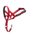 Dog Training Collars Company of Animals Halti Muzzle (40-54 cm) | Tienda24 Tienda24.eu