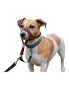 Collier d'entraînement pour chiens Company of Animals Halti Muselière (40-54 cm) | Tienda24 Tienda24.eu