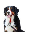 Dog Training Collars Company of Animals Halti Muzzle (40-54 cm) | Tienda24 Tienda24.eu