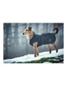 Dog Coat Norton 360 Uppsala Black 60 cm | Tienda24 Tienda24.eu