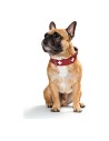 Collar para Perro Hunter Swiss Rojo/Negro (24-28.5 cm) | Tienda24 Tienda24.eu