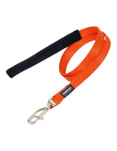 Correa para Perro Company of Animals Negro S | Tienda24 Tienda24.eu