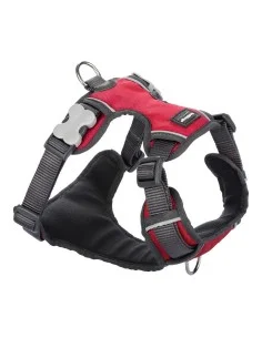 Hundegeschirr Hunter Comfort grün M 55-60 cm | Tienda24 Tienda24.eu