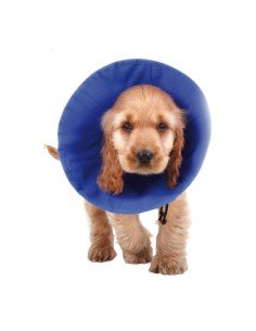 Colar Isabelino para Cães KVP EZ Soft Azul (35-60 cm) | Tienda24 Tienda24.eu