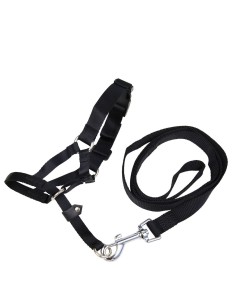 Muzzle Gloria Black 5 24 cm | Tienda24 Tienda24.eu