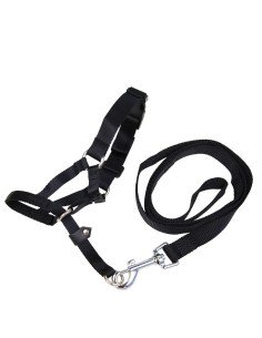 Muzzle Gloria Black Nylon Size 2 (14 cm) | Tienda24 Tienda24.eu