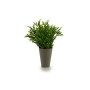 Plant pot Green Plastic 13 x 25 x 13 cm by Ibergarden, Flower Pots - Ref: S3602946, Price: 1,71 €, Discount: %