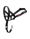 Collier d'entraînement pour chiens Company of Animals Halti Noir Muselière (31-40 cm) | Tienda24 Tienda24.eu