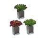 Pianta Decorativa di Ibergarden, Piante artificiali - Rif: S3603149, Prezzo: 5,92 €, Sconto: %