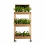 Shelves 3 Shelves (41 x 159 x 69 cm) by Ibergarden, Standing Shelf Units - Ref: S3605369, Price: 74,71 €, Discount: %