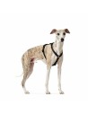 Hundegeschirr Hunter Schwarz L M/L | Tienda24 Tienda24.eu