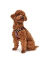 Imbracatura per Cani Hunter Hilo-Comfort Rosso Taglia S/M (48-55 cm) da Hunter, Imbracature - Ref: S6103646, Precio: 17,91 €,...