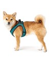 Dog Harness Hunter Hilo Comfort 55-60 cm Size M Turquoise | Tienda24 Tienda24.eu