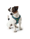 Dog Harness Hunter Hilo Comfort 55-60 cm Size M Turquoise | Tienda24 Tienda24.eu